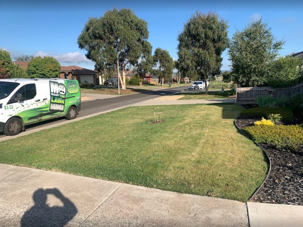 Mo The Lawn Barber Gardener